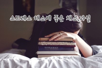 스트레스 해소에 좋은 채소,과일