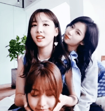 맴버들한테 뽀뽀해대는 사나 | 인스티즈