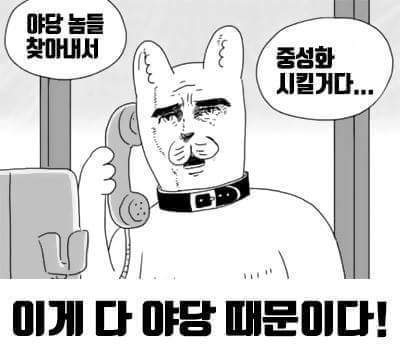 이게 전부 야당 때문이다!+자한당 때문이다!+언론(조중동한경오)때문이다!+짤 추가 | 인스티즈