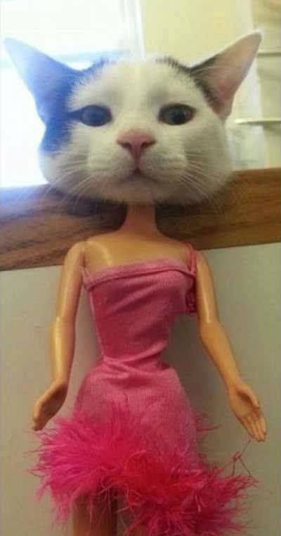 타이밍 이미지