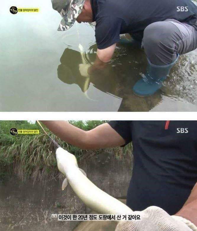 자연산 장어의 위엄 | 인스티즈