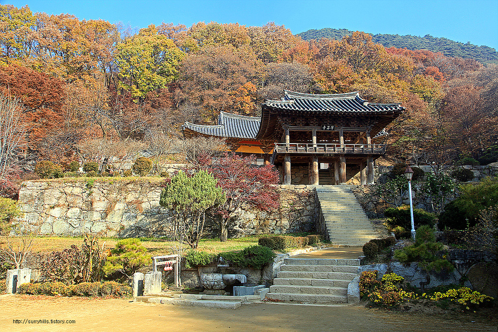 초아랑 영주 부석사 가고 싶다 | 인스티즈