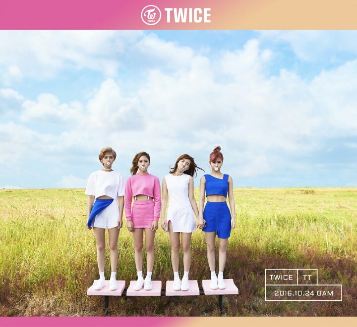 올리니 이미지