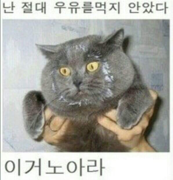 사랑스런 악동들 | 인스티즈