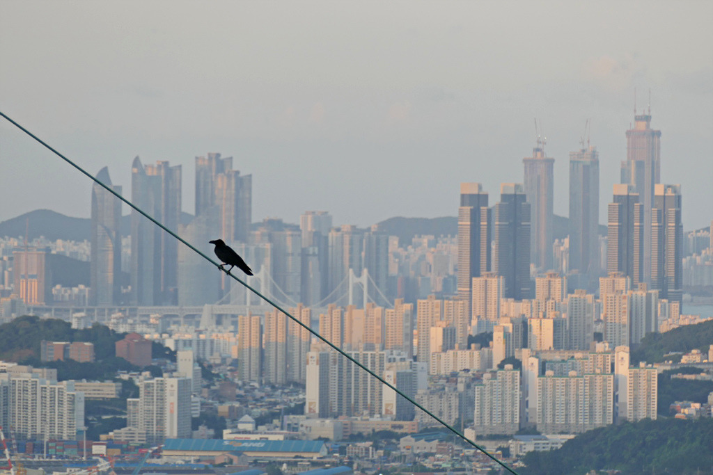 직찍 폴더로 돌아 본 2018년 | 인스티즈