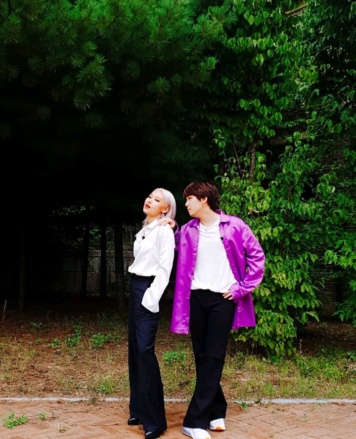 홍스 이미지