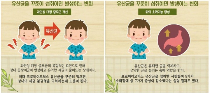 유산균을 챙겨먹어야 하는 이유.jpg | 인스티즈