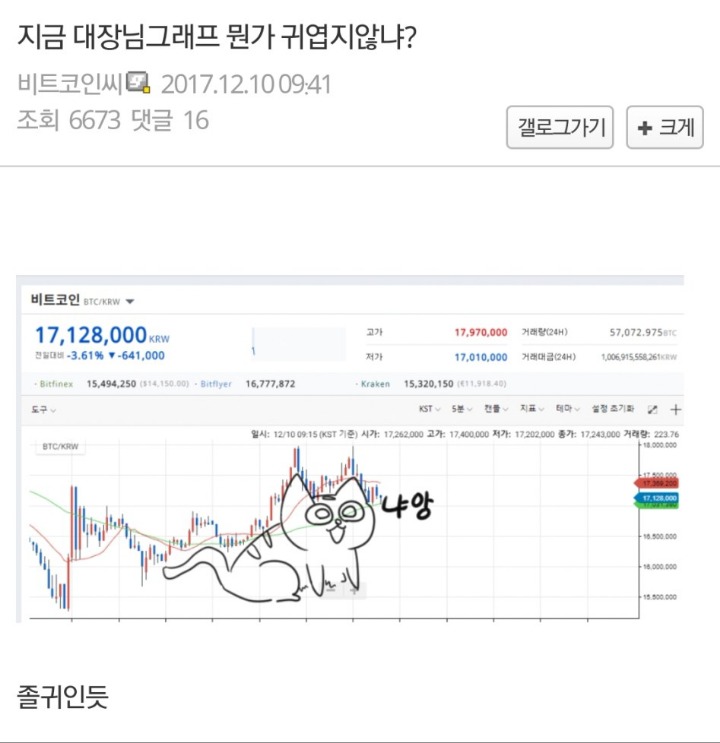 미쳐가는 비트코인 갤러들 | 인스티즈