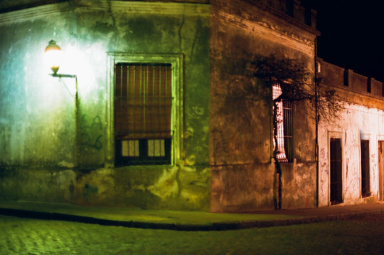  나에게는 꿈이 하나 있지 | 인스티즈