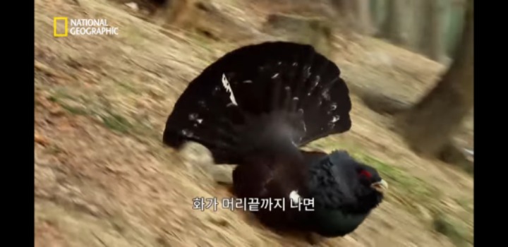 분노조절을 잘 해야하는 이유 | 인스티즈