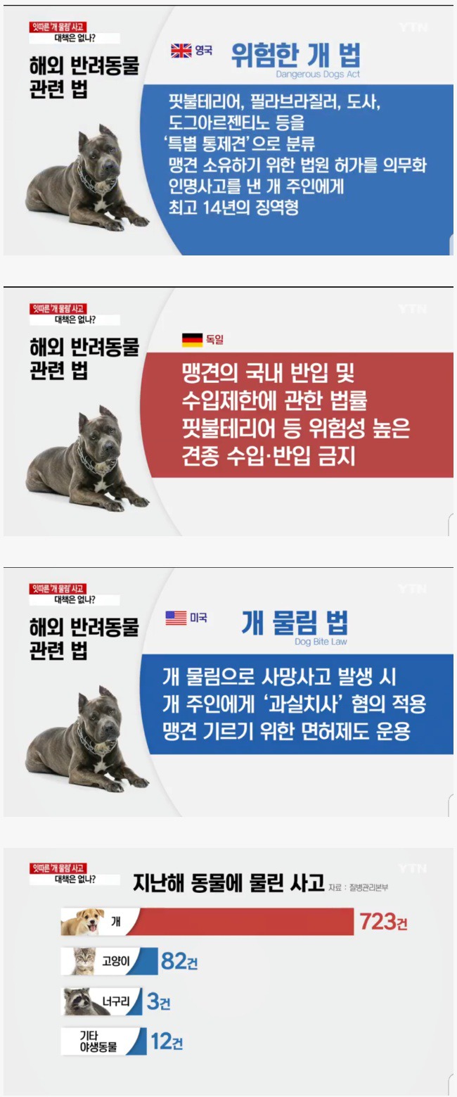 외국의 개 물림 방지법.JPG | 인스티즈