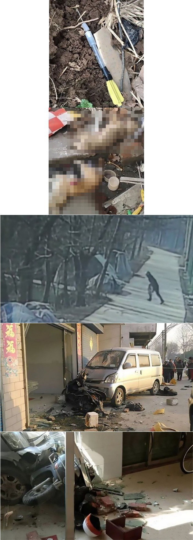 강아지 독살하고 다니던 남성 견주에 의해 사망 | 인스티즈