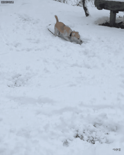 오늘자 짱절미 인스타그램.jpgif | 인스티즈