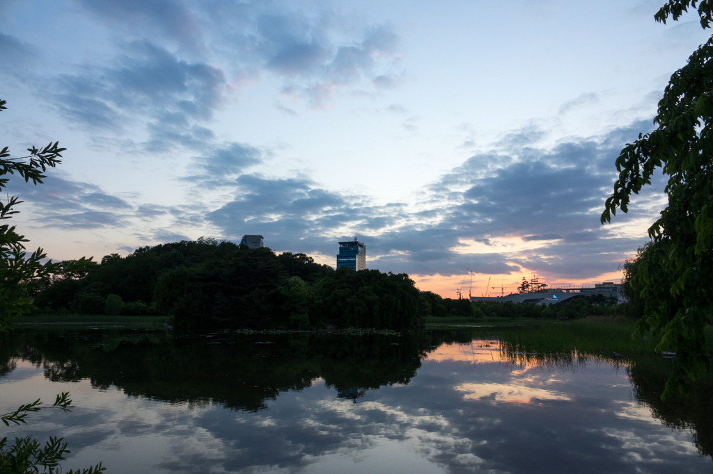 취미 생활로 찍은 사진들 | 인스티즈