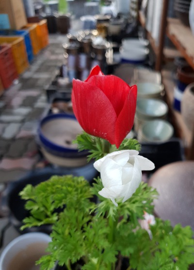 991747375CB2B5B718AC42