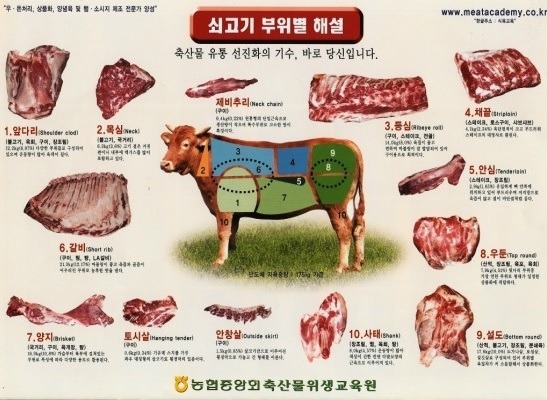 소고기 평생 공짜 vs 참치 평생 공짜 | 인스티즈