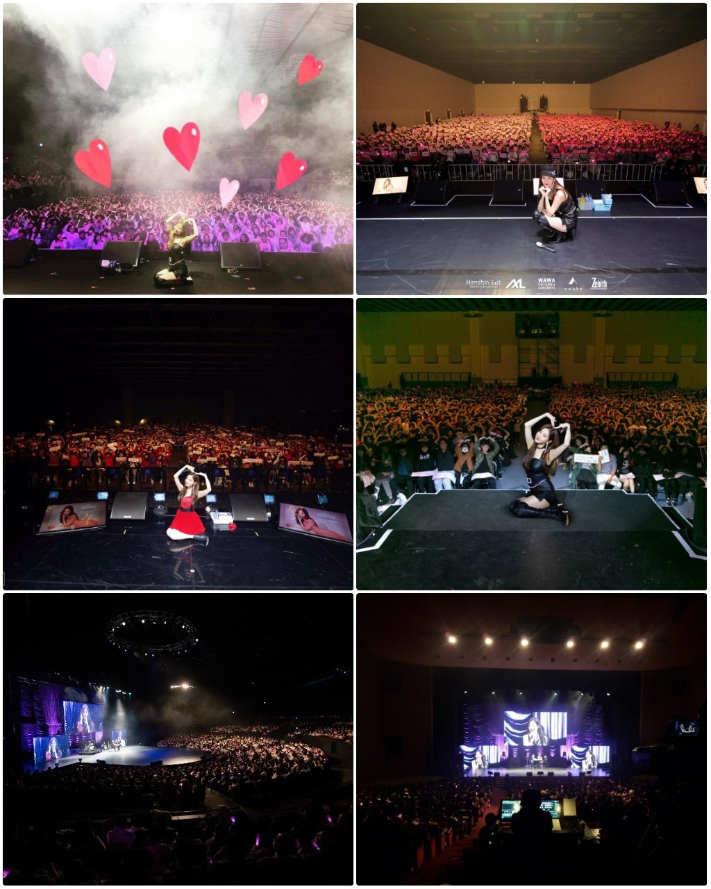 991D23475C6C535F08D174