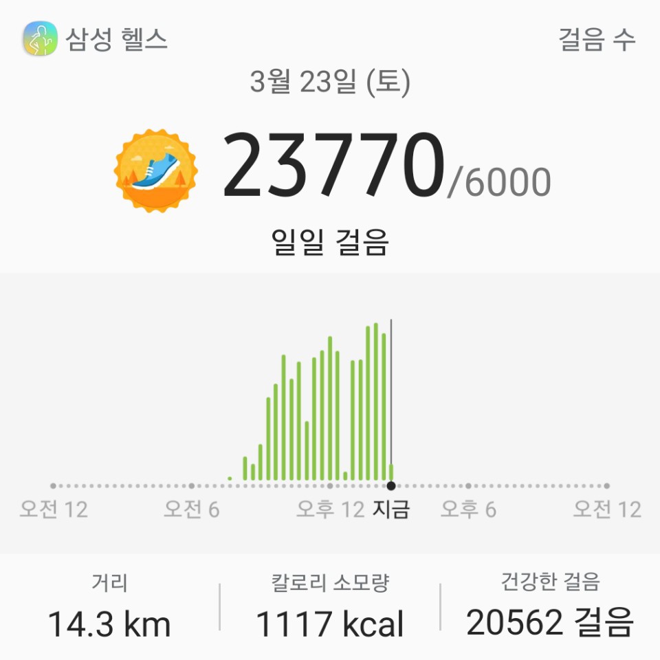 동산장 이미지