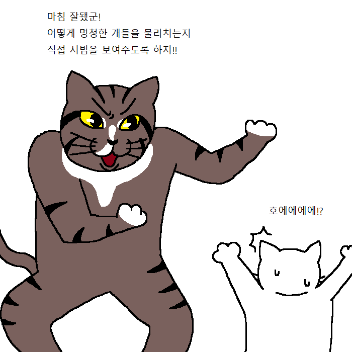 [만화] 사부고양이가 새끼고양이한테 무술 가르치는 만화 | 인스티즈