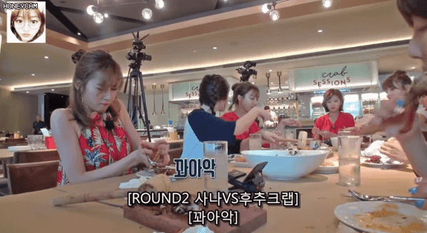사나 vs 후추크랩 ㅋㅋㅋㅋㅋ.gif | 인스티즈