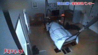 일본 예능 수준.gif | 인스티즈