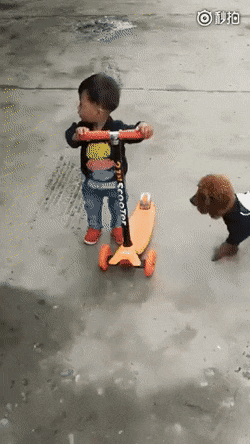 애한테서 킥보드 뺏는 개양아치.gif | 인스티즈