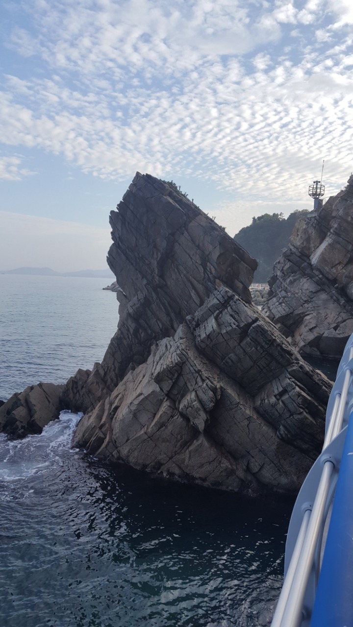 와바다다 이미지