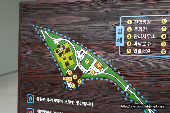 나무그래픽 이미지