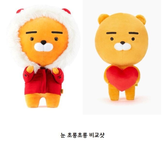 라이언의 눈이 초롱초롱한 이유 | 인스티즈