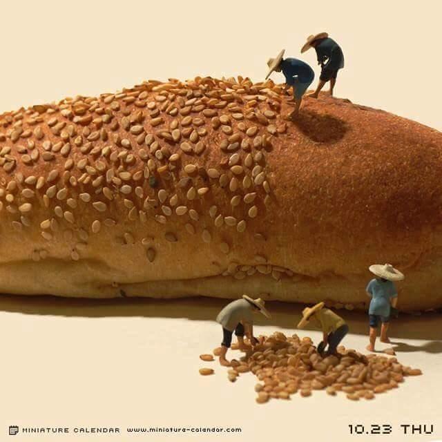 미니어쳐의 세계 | 인스티즈