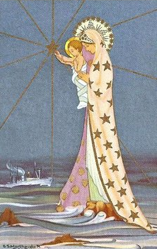 바다의별 이미지