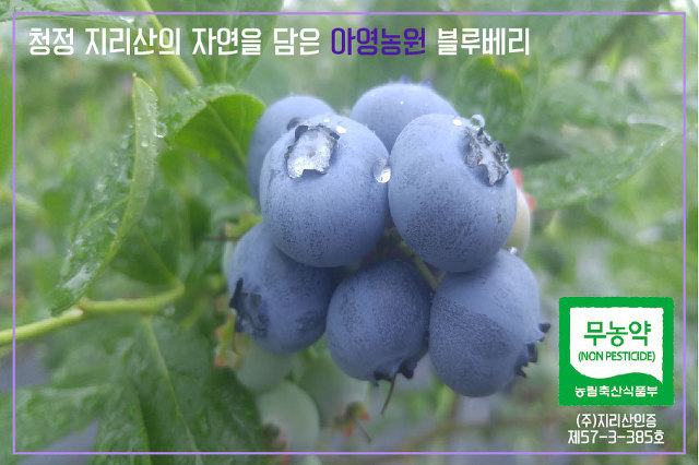 아영식품 이미지