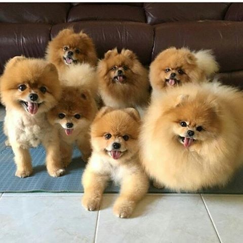 개판이네 | 인스티즈