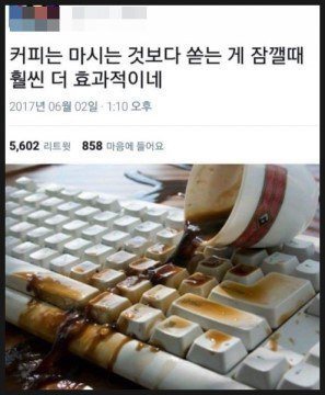 웃긴짤 모음집 | 인스티즈