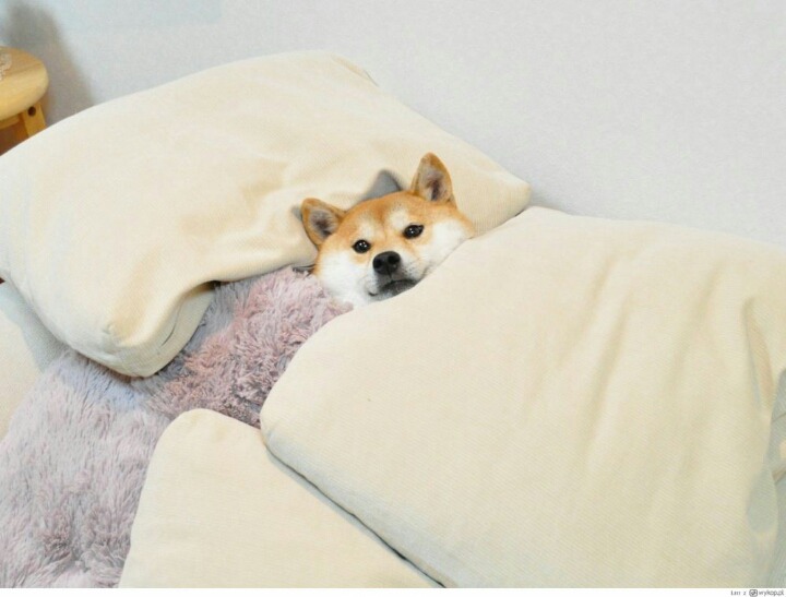 남자친구한테 매일 폭행당하고 살아요.JPG | 인스티즈