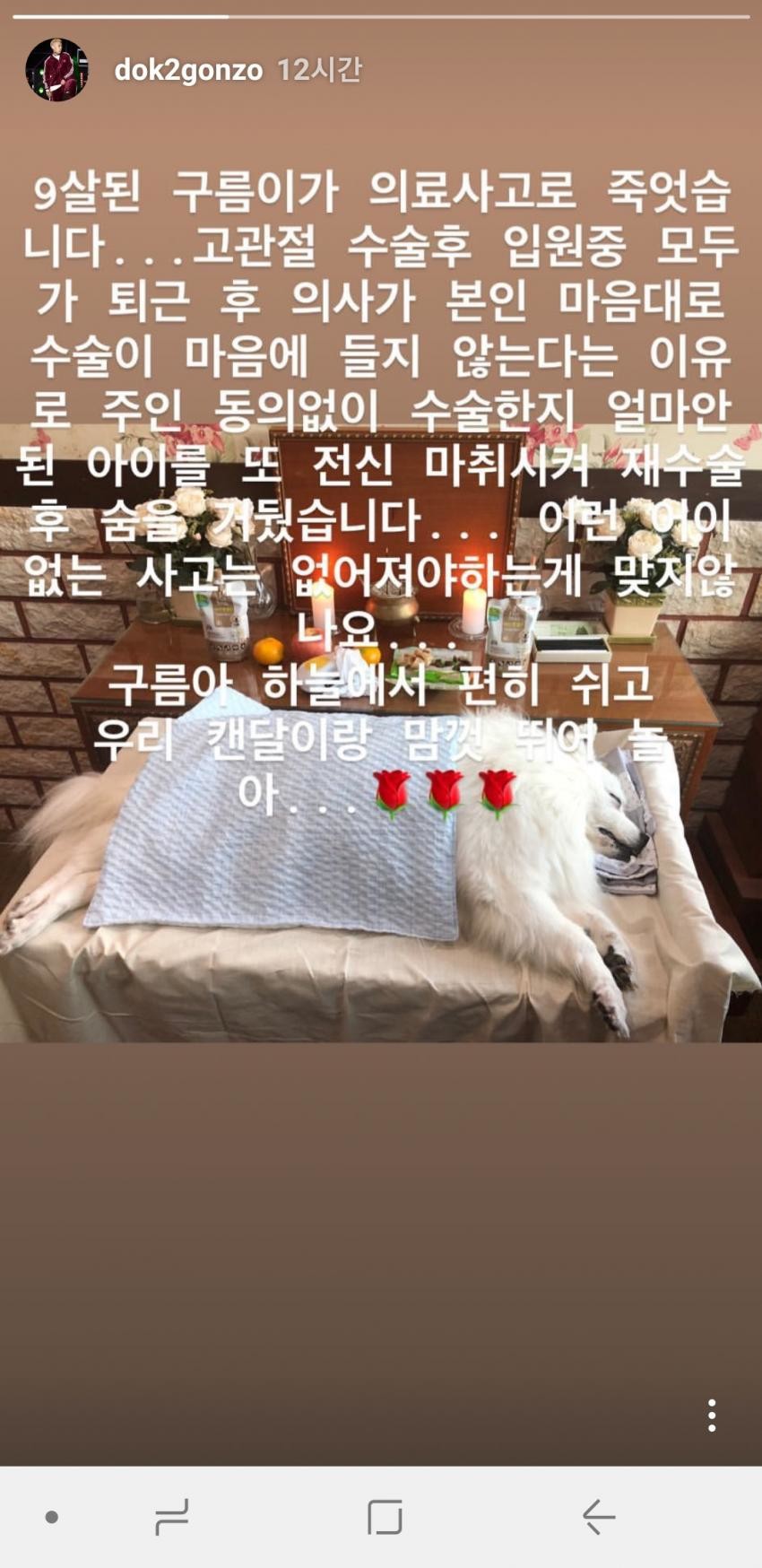 도끼 강아지 의료사고로 사망...jpg | 인스티즈