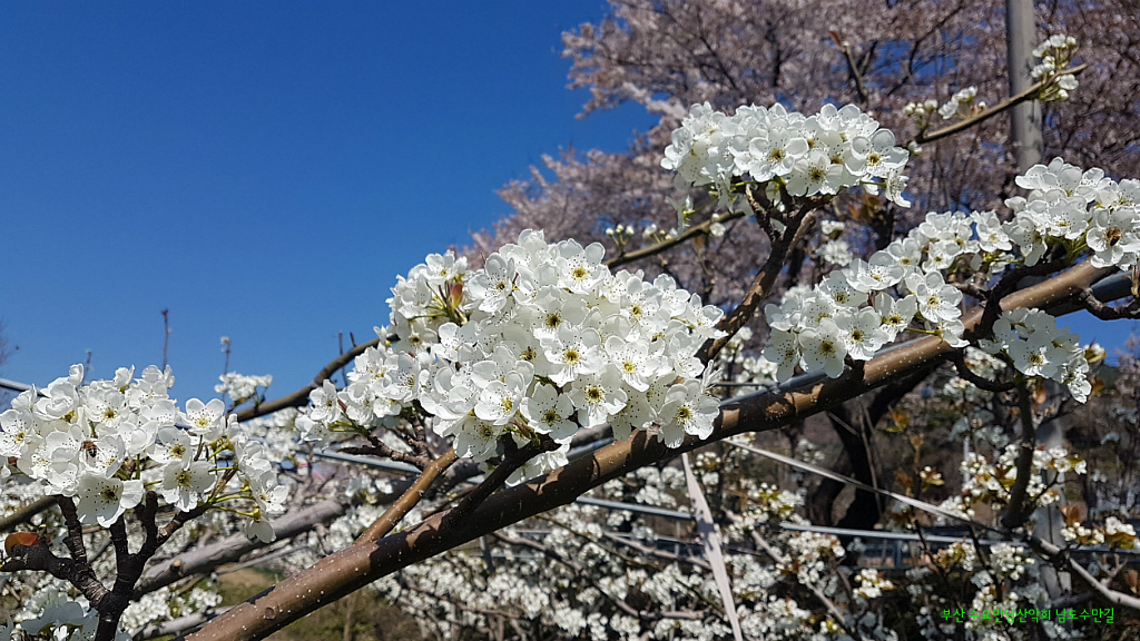 남도회관 이미지