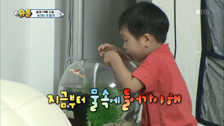 아빠의 중요 파일이 담긴 죽은 물고기를 어항에 넣어준 승재.jpg | 인스티즈