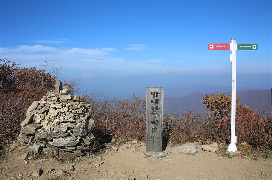 코오롱스포츠용인 이미지
