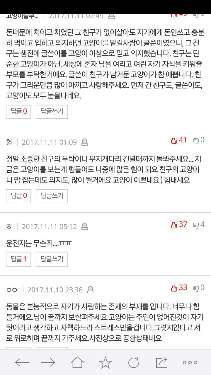 죽은친구가 맡기고 간 고양이 | 인스티즈