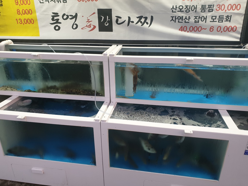 통영강다찌 이미지