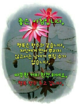 나누면 이미지