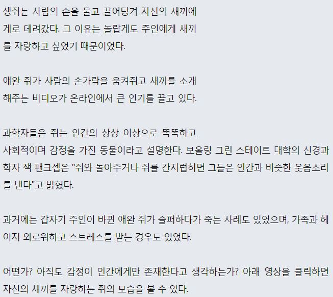 쥐야 미안해... | 인스티즈