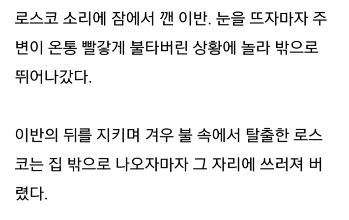 4살 아이를 구한 리트리버 | 인스티즈