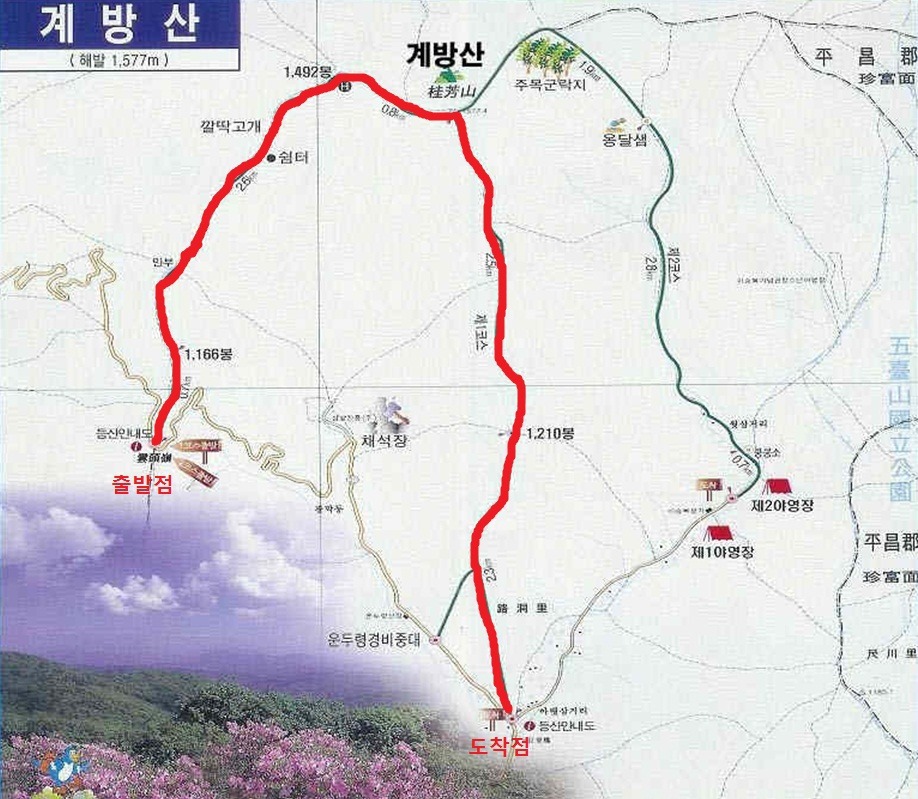 게시글 이미지