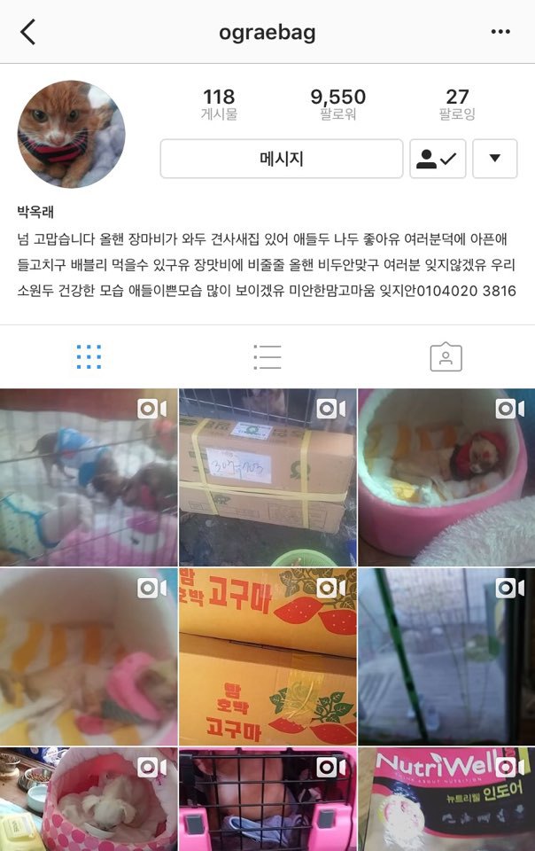 여러분덕에 아픈애들고치구 배블리 먹을수 있구유 장맛비에 비줄줄 올핸 비두 안맞구 여러분 잊지않겠유 | 인스티즈