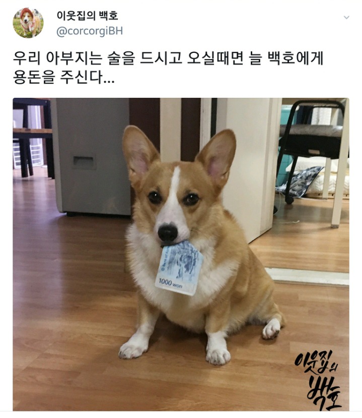 개한테 술먹고 용돈주는 아부지와 그돈으로.. | 인스티즈