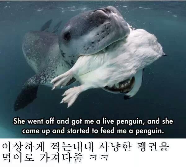네셔널 지오그래픽 레전드 사건 | 인스티즈
