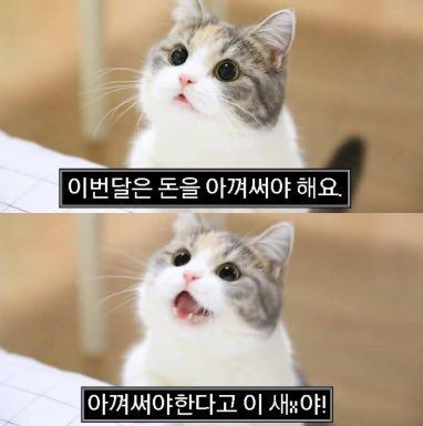 내가 누굴 생각하고 있는지 맞추는 족집게 | 인스티즈