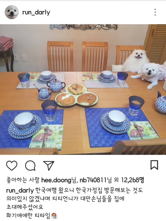 대만사람까지 꼬시고 다니는 한류 스타 강아지 달리 | 인스티즈